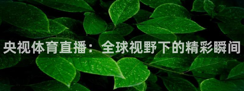 山猫 体育