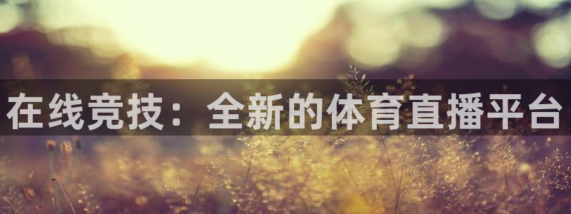 山猫直播体育免费观看下载