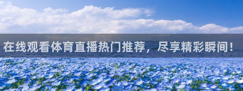 体育新闻