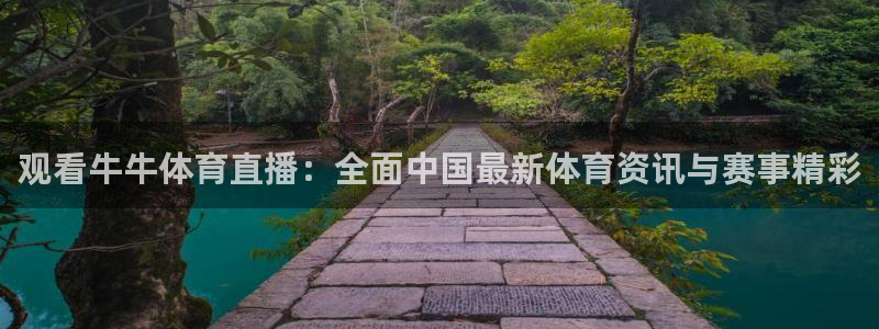 体育新闻