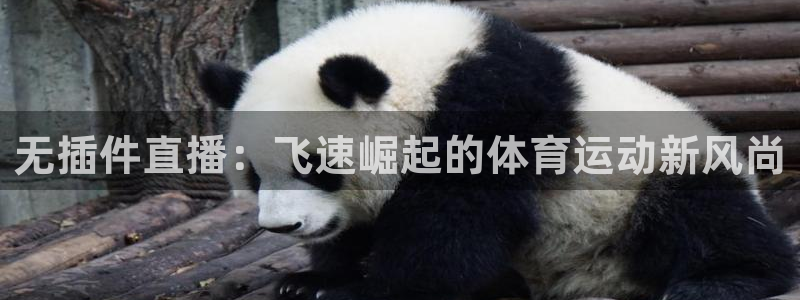 山猫网今天免费直播nba开拓者对奇才的比赛