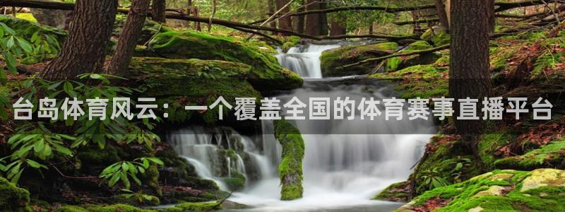 体育新闻